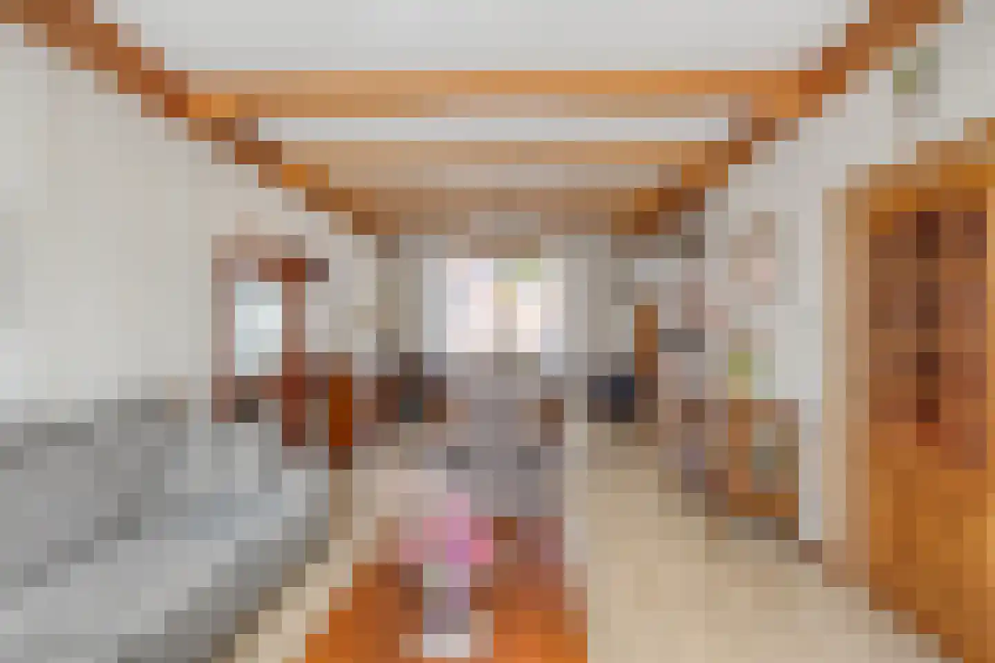 Julianaweg 89 Volendam thumbnail 10
