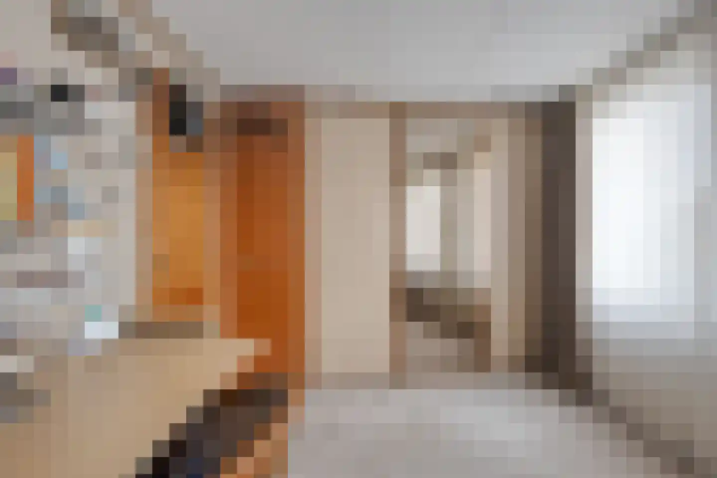 Julianaweg 89 Volendam thumbnail 40