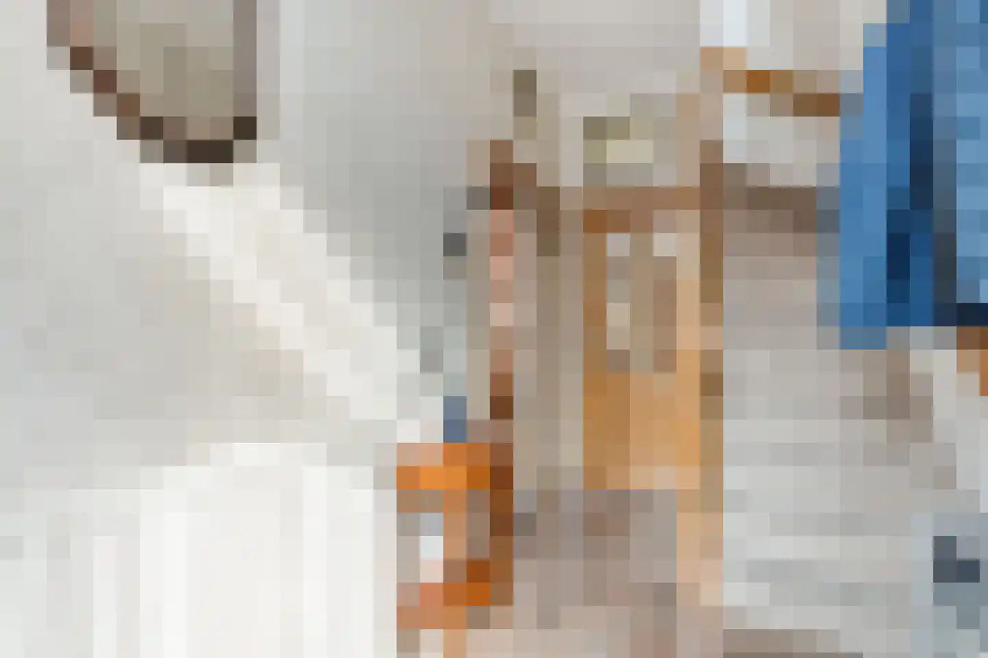 Julianaweg 89 Volendam thumbnail 6