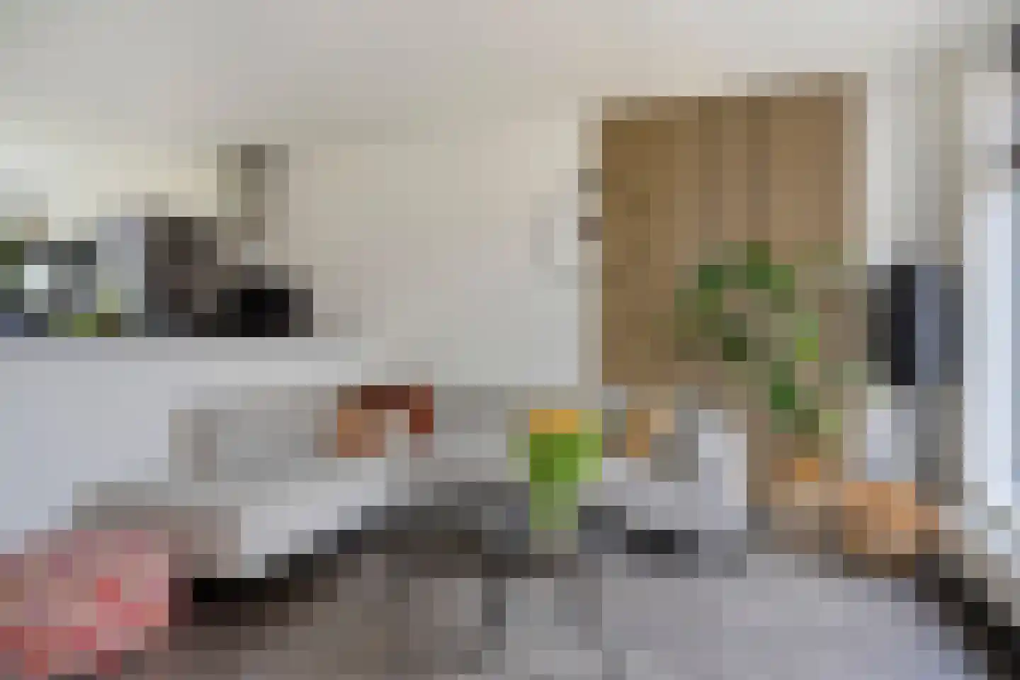 Julie Postelsingel 101 Boxmeer thumbnail 10