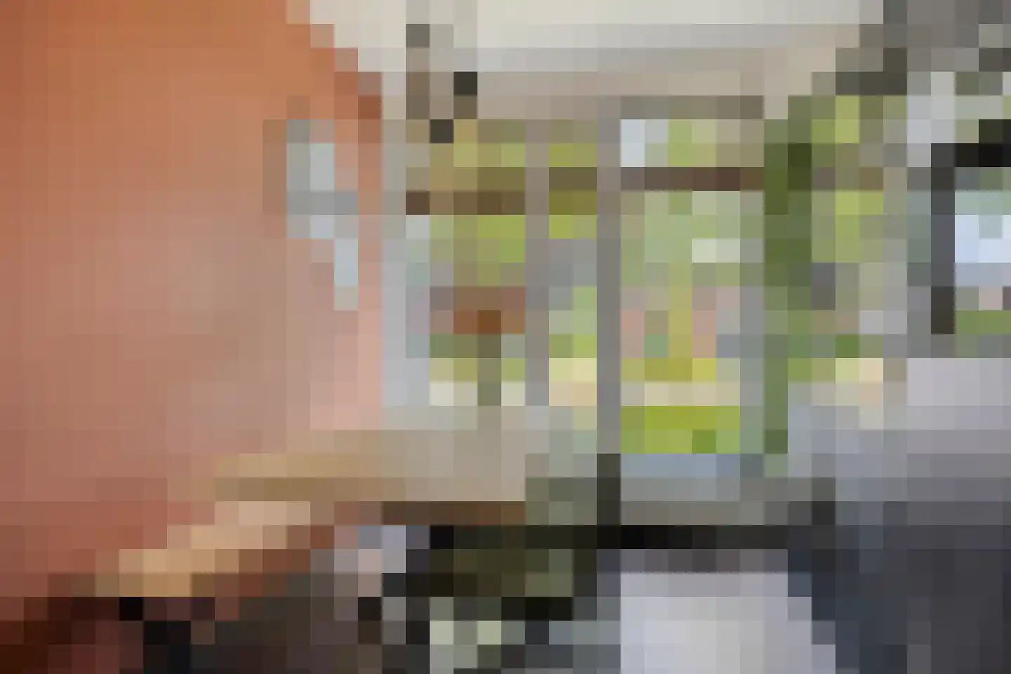 Julie Postelsingel 101 Boxmeer thumbnail 13