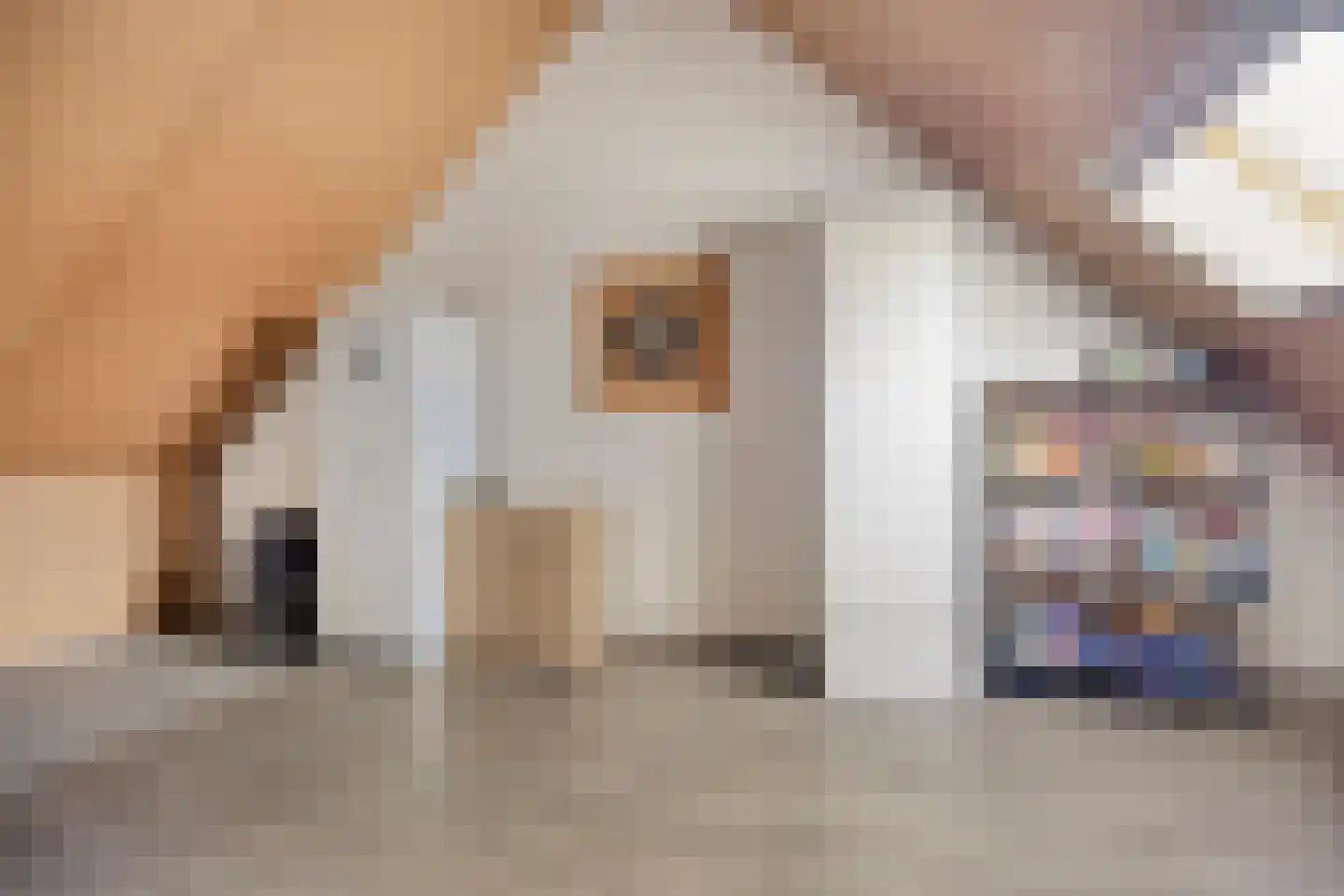 Julie Postelsingel 101 Boxmeer thumbnail 26