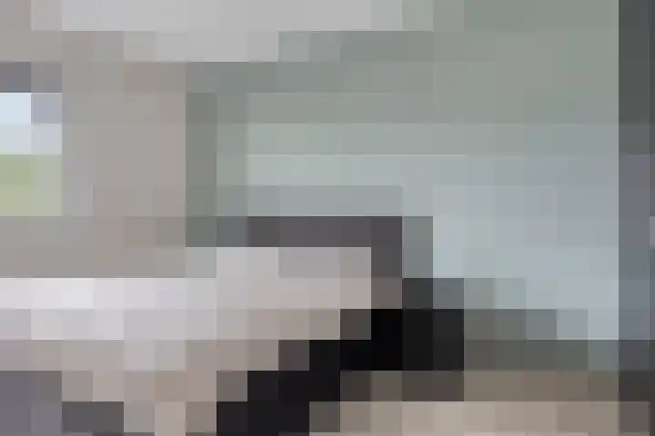 Julie Postelsingel 107 Boxmeer thumbnail 11