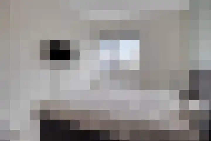 Julie Postelsingel 107 Boxmeer thumbnail 12