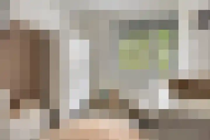 Julie Postelsingel 107 Boxmeer thumbnail 14