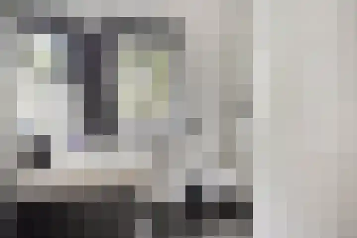 Julie Postelsingel 107 Boxmeer thumbnail 16