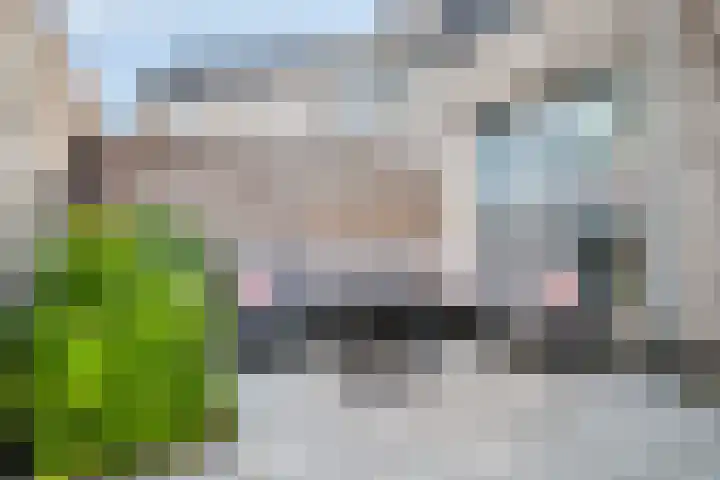 Julie Postelsingel 107 Boxmeer thumbnail 21