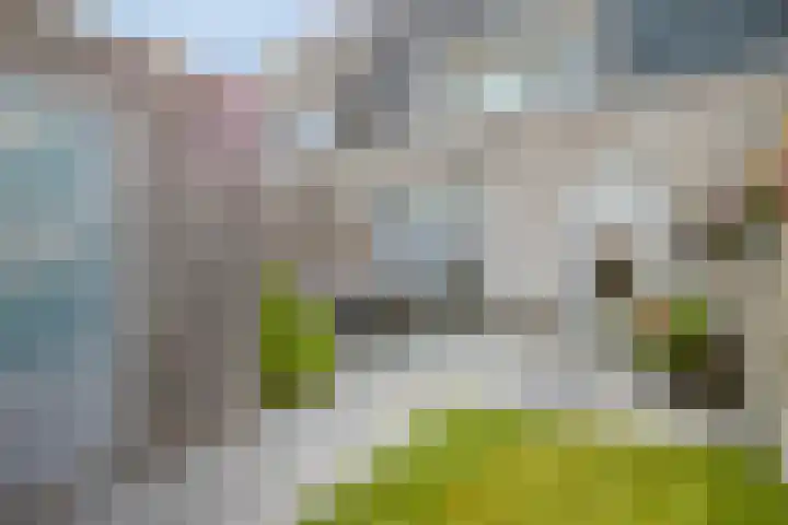 Julie Postelsingel 107 Boxmeer thumbnail 22