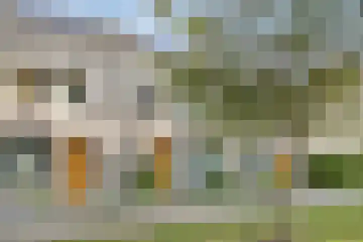 Julie Postelsingel 107 Boxmeer thumbnail 25