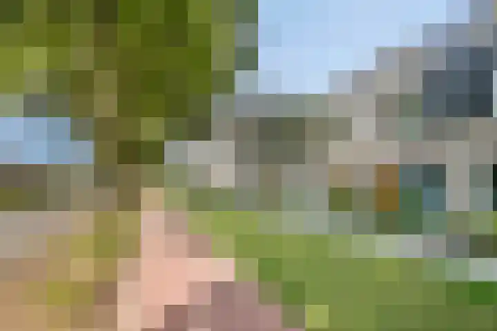 Julie Postelsingel 107 Boxmeer thumbnail 26