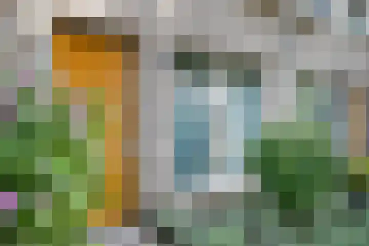 Julie Postelsingel 107 Boxmeer thumbnail 27