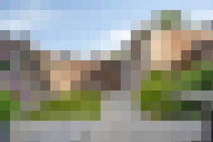 Julie Postelsingel 107 Boxmeer thumbnail 4
