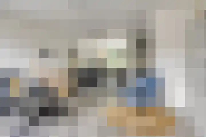 Julie Postelsingel 107 Boxmeer thumbnail 7