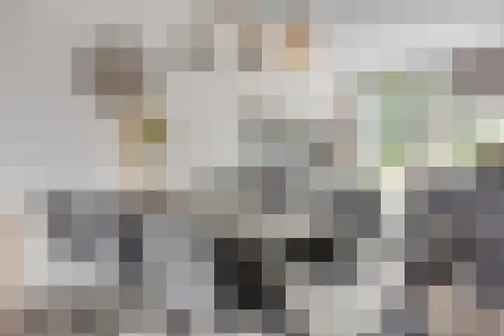 Julie Postelsingel 107 Boxmeer thumbnail 8