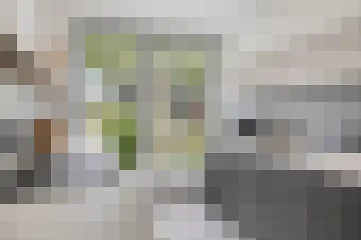 Julie Postelsingel 107 Boxmeer thumbnail 9
