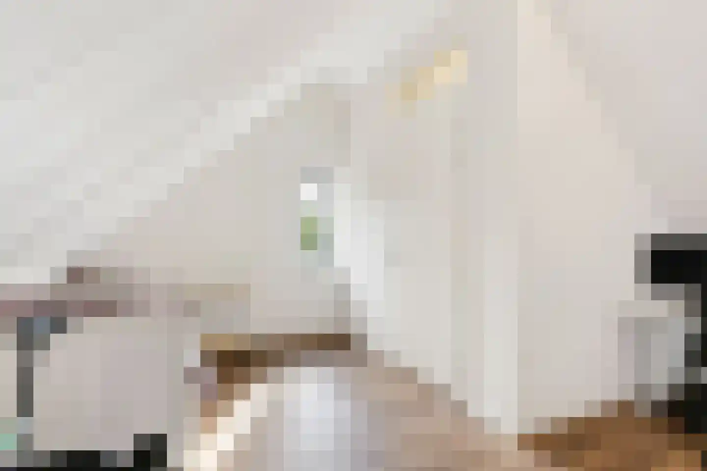 Julie Postelsingel 111 Boxmeer thumbnail 26