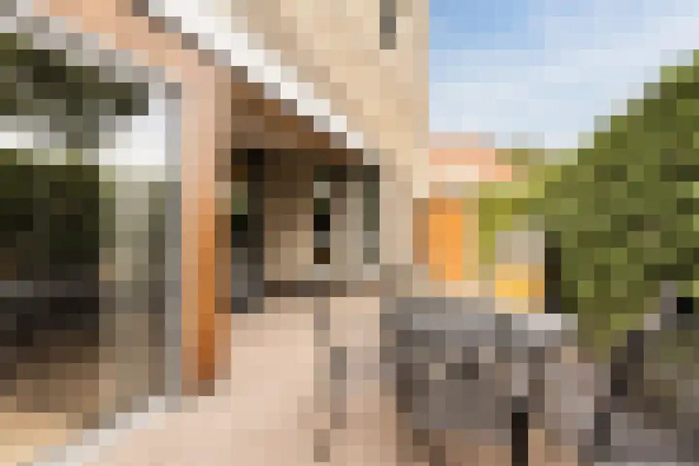 Julie Postelsingel 111 Boxmeer thumbnail 31