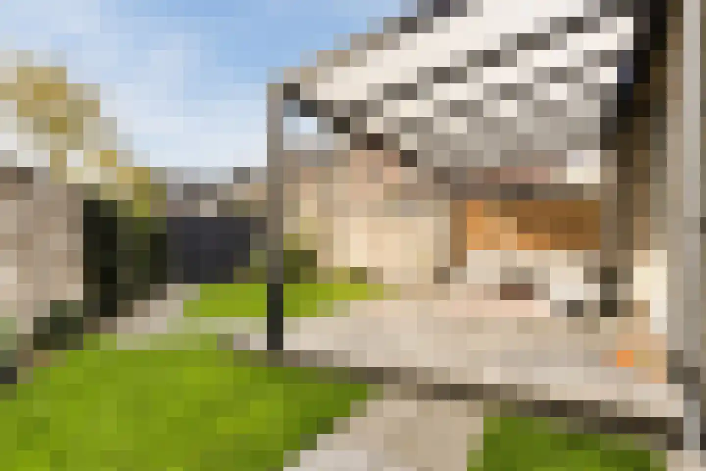 Julie Postelsingel 111 Boxmeer thumbnail 32