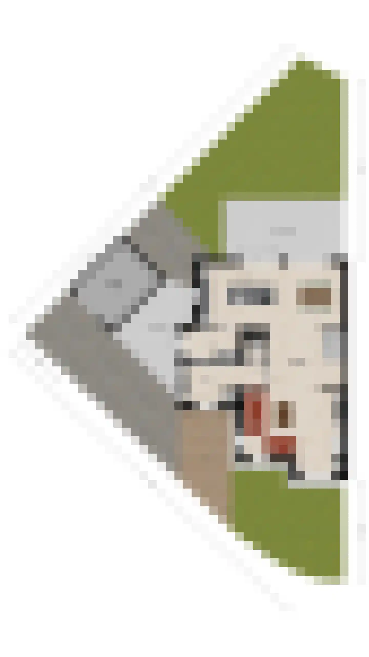Julie Postelsingel 111 Boxmeer thumbnail 41