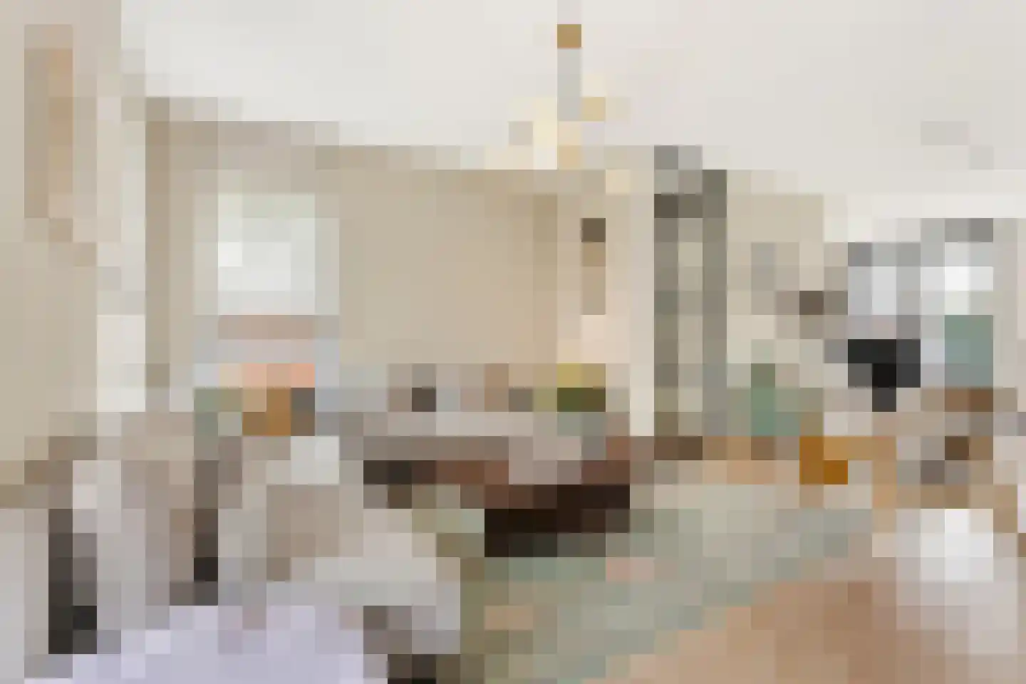Julie Postelsingel 111 Boxmeer thumbnail 8