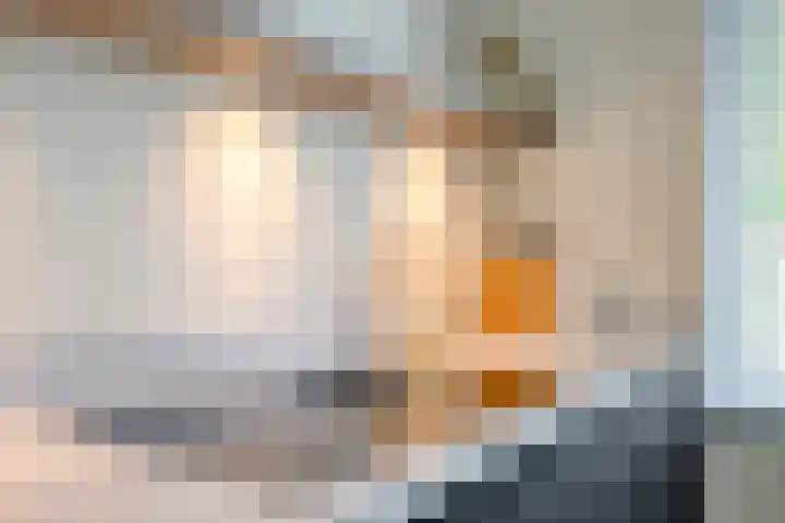 Julie Postelsingel 42 Boxmeer thumbnail 12