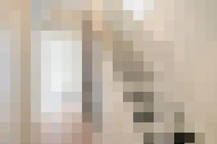 Julie Postelsingel 42 Boxmeer thumbnail 22