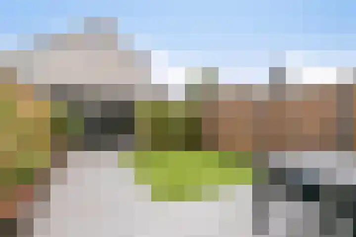 Julie Postelsingel 42 Boxmeer thumbnail 25