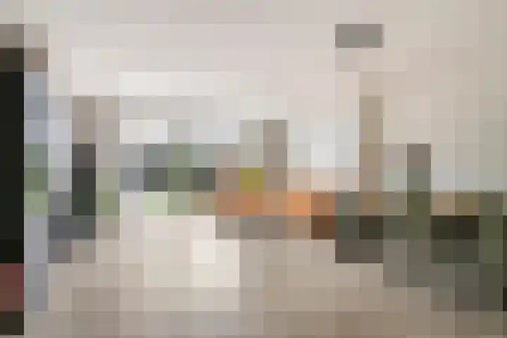 Julie Postelsingel 42 Boxmeer thumbnail 5