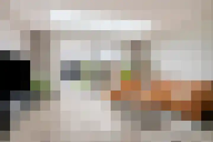 Julie Postelsingel 42 Boxmeer thumbnail 6