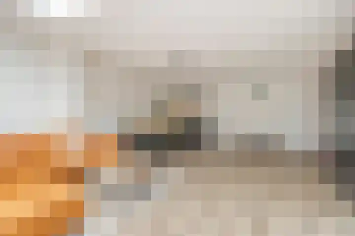 Julie Postelsingel 42 Boxmeer thumbnail 7