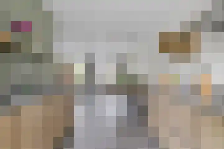 Julie Postelsingel 81 Boxmeer thumbnail 11