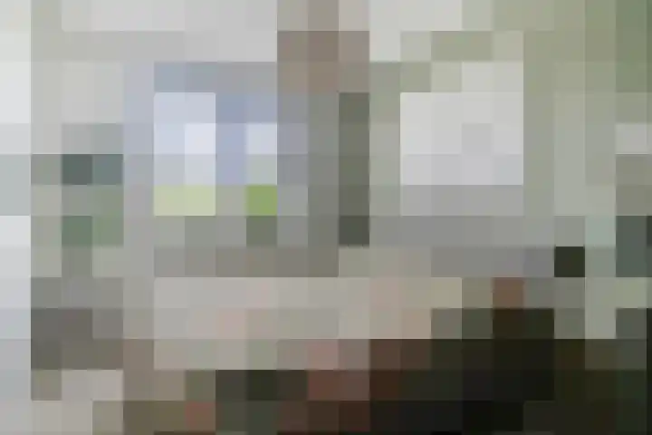 Julie Postelsingel 81 Boxmeer thumbnail 14