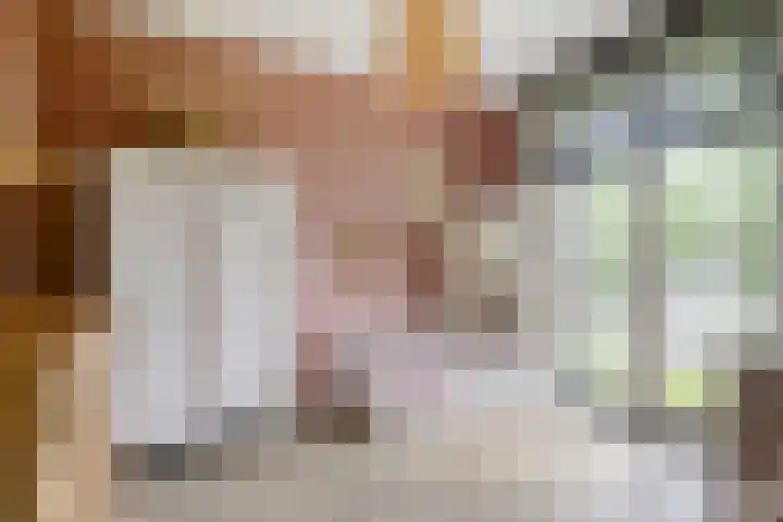 Julie Postelsingel 81 Boxmeer thumbnail 16