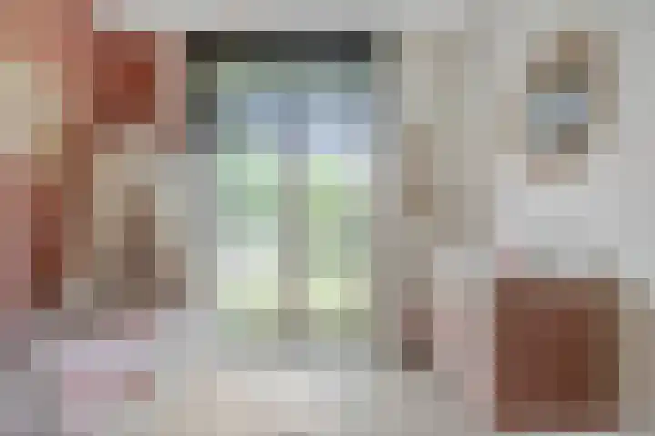 Julie Postelsingel 81 Boxmeer thumbnail 17