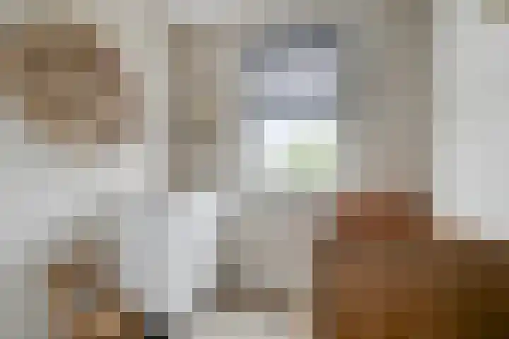 Julie Postelsingel 81 Boxmeer thumbnail 18