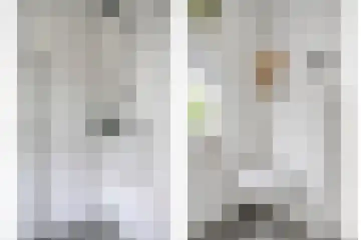 Julie Postelsingel 81 Boxmeer thumbnail 21