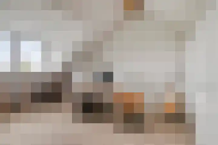 Julie Postelsingel 81 Boxmeer thumbnail 23