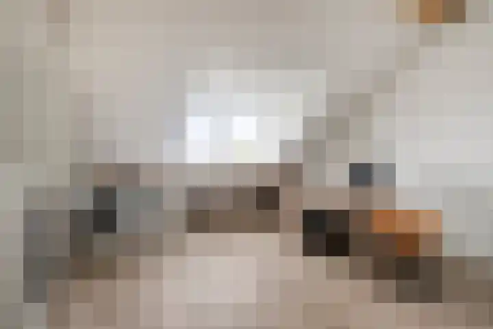 Julie Postelsingel 81 Boxmeer thumbnail 24