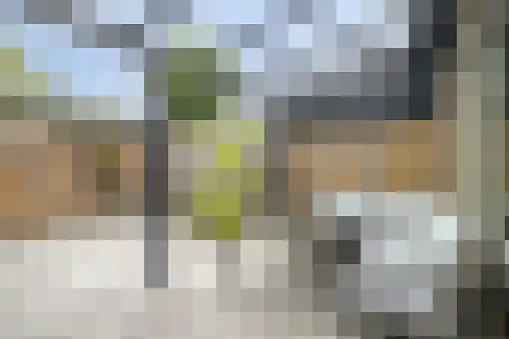 Julie Postelsingel 81 Boxmeer thumbnail 27