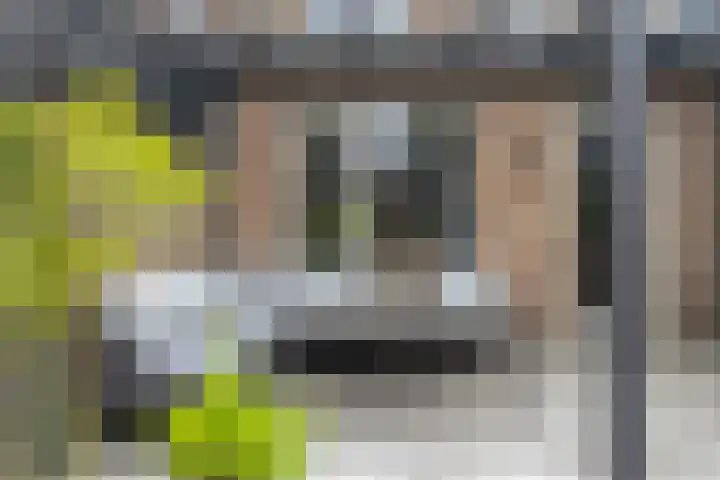 Julie Postelsingel 81 Boxmeer thumbnail 28
