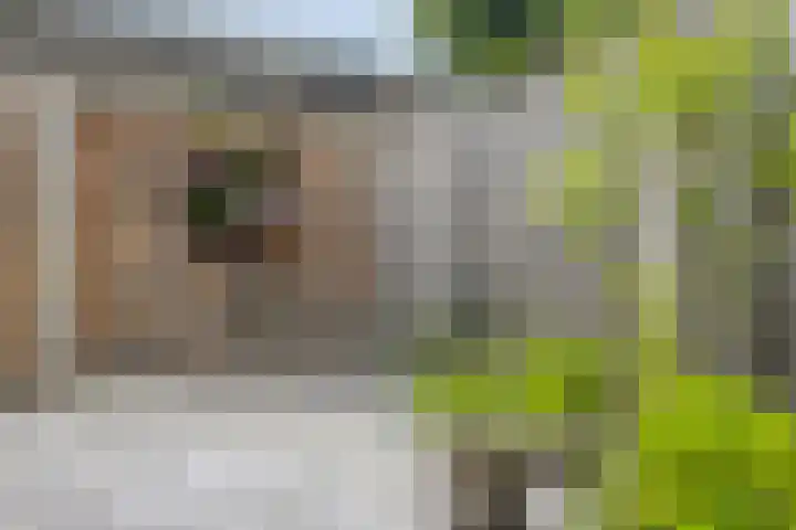 Julie Postelsingel 81 Boxmeer thumbnail 29