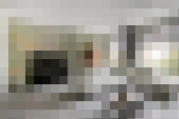Julie Postelsingel 81 Boxmeer thumbnail 4