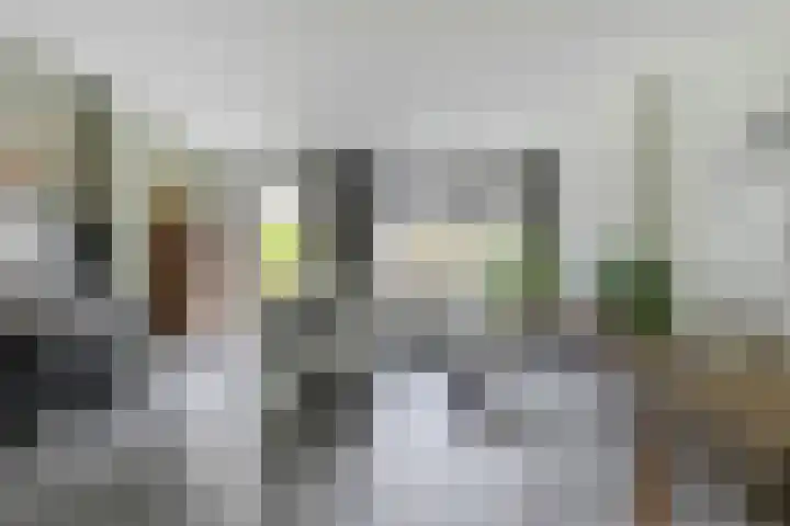 Julie Postelsingel 81 Boxmeer thumbnail 5
