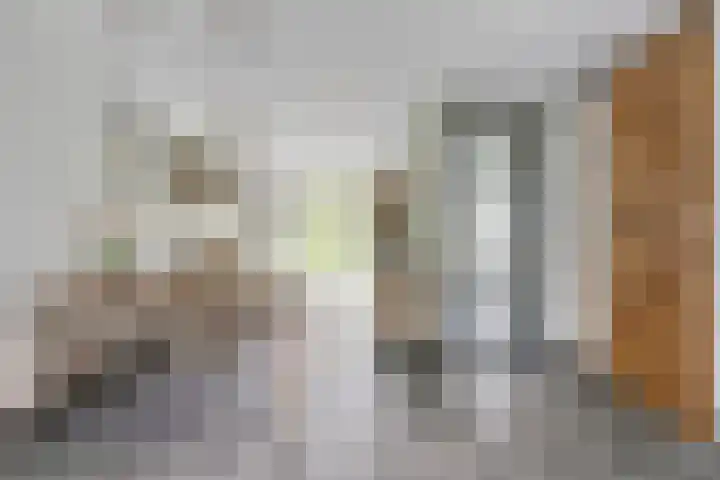 Julie Postelsingel 81 Boxmeer thumbnail 6