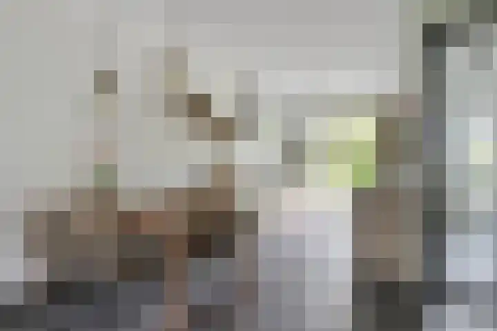 Julie Postelsingel 81 Boxmeer thumbnail 7