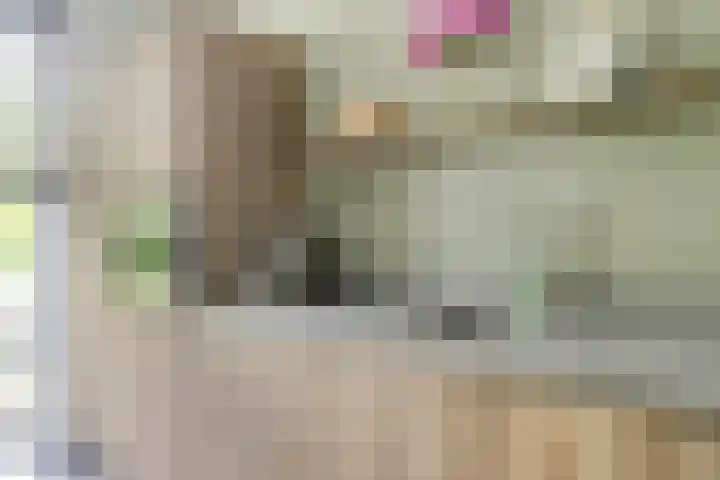 Julie Postelsingel 81 Boxmeer thumbnail 8