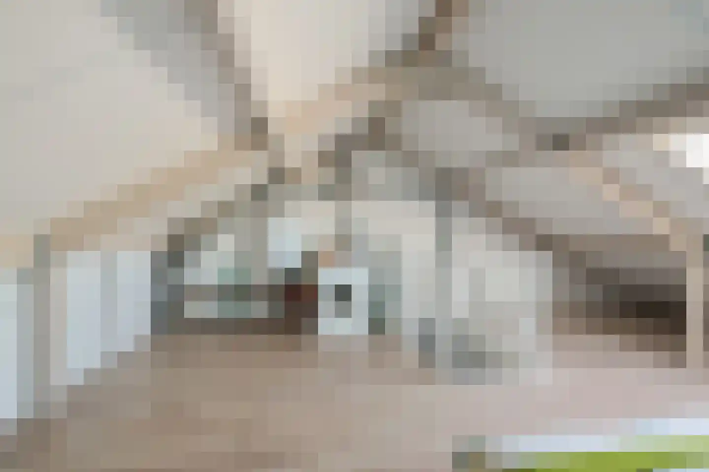 Julistraat 117 Almere thumbnail 36