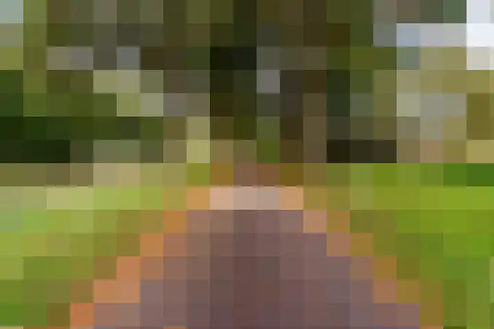 Julistraat 28 Almere thumbnail 43