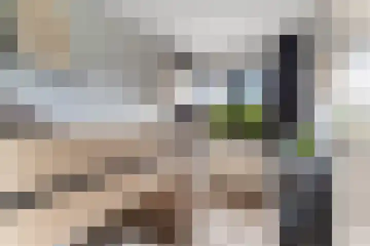 Julistraat 57 Almere thumbnail 28