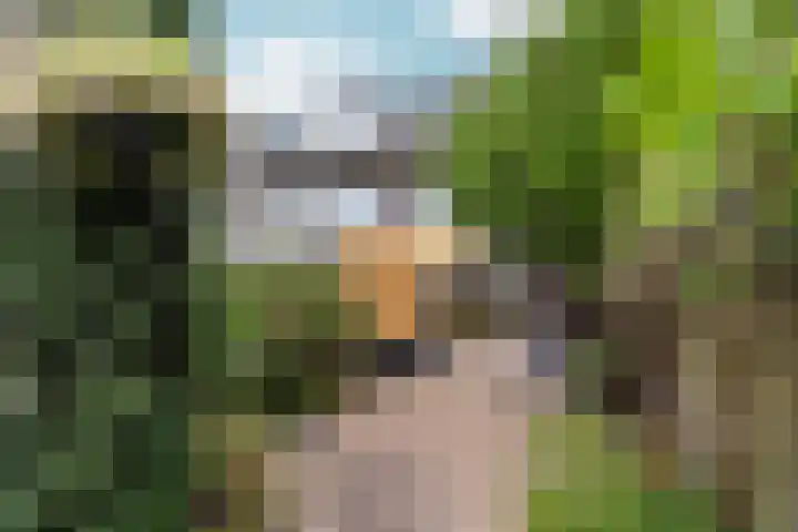 Julistraat 57 Almere thumbnail 42